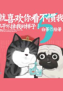 从爱情公寓开始的无限