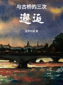 星耀寰宇