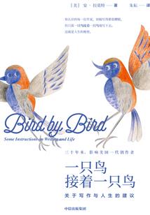 遇见你，何其有幸