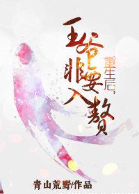 俏丫头不为妃