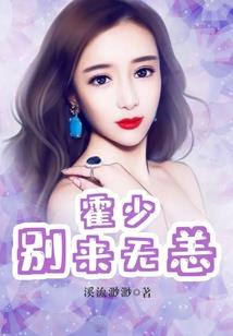 我是一名御灵师