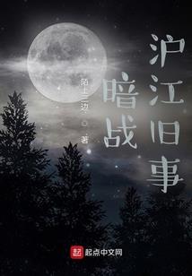 神奇宝贝之雷光