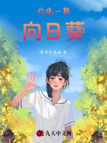 傻相公之落花微雨