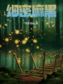圣影苍穹