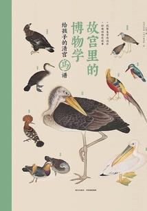 带着系统闯星河