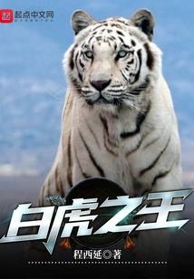 墨子曰贤