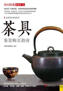 精灵师