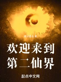 幻城人生