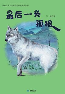非法地带