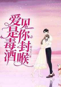 假面骑士圣骑