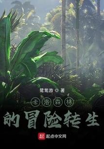 后宫乱&#183;红颜怨（实体全本完结）