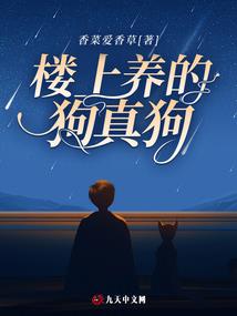 混血契约师