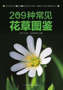 妖祭寻