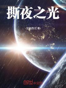 掠影绝尘小盗贼