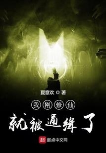 异界之搞笑召唤师