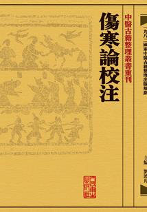 法之仙道之巅峰对决