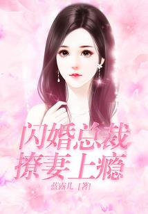 大陆执法者