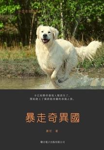 异世—彼岸