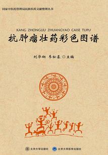 盗命师