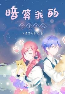 二哈芯片