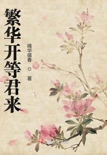 光之巨人在异世