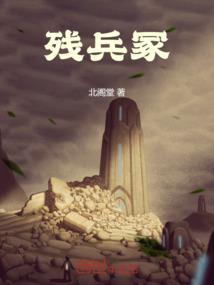 霸宠毒妃，腹黑宸王不好惹