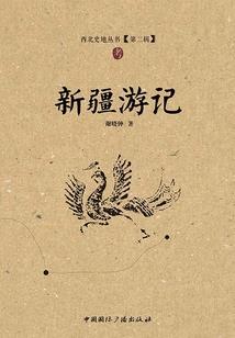你是我的伤