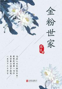 隐龙传：影踪