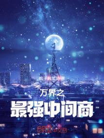 佣兵伴侣