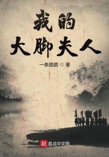 赵小猫的江湖路