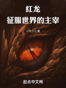 孤胆特工之休止符