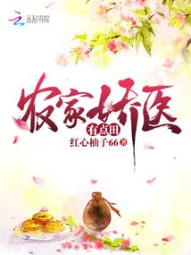 皮侠传