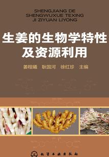 复古传说