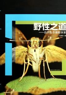 傻妃杠上邪王