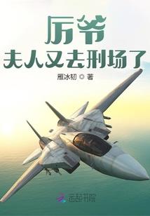 阮城的宠妻狂魔之陆少