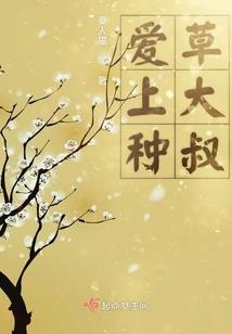 九劫变大圣境