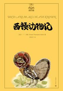 花常好月常圆