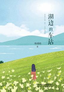 妻主太坏