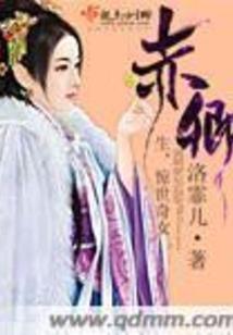 美女总裁的传奇高手