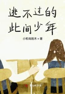 朝圣鸟