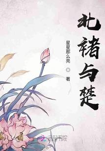 重生之彼岸星辰