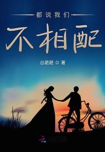 六瓣梅之京华风云