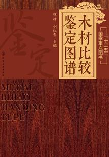 人在漫威：我是超级祖国人