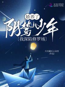绣花未成终羽起
