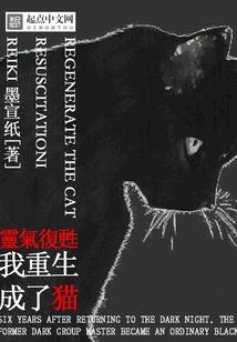 暗影守护