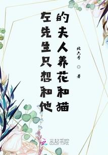 叶衣