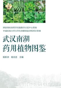 重返地球4400年