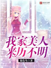 二十五岁半