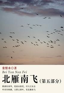 连城诀外传