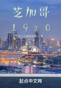 传奇流浪猫